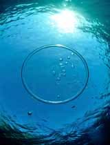 Diver blowing a bubble ring