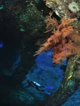 Diver exploring the USAT Liberty Wreck in Tulamben, Bali